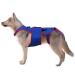 Dog Hip Support Brace | Dogs Back Brace Helps Small Dogs D-Ring and Reflective Strips Back Protector Support Helps Hurt Relief Dogs Back