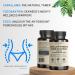 VINATURA Caralluma Fimbriata EGCG 45% Extract 1250mg + Fucoxanthin 3mg - 60 Capsules | Immune Support, Energy & Mental Focus | USA Made & Tested - Buy Online on GoSupps.com