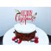 Dimoda Traditional Mistletoe christmas acrylic plastic cake toppers for christmas cake decorations