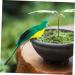 TOYANDONA 5pcs Ornament Bird Artificial Vivid Feathered Green Statue for Supply Figure Home Lifelike 20x5cmx5pcs Greenx5pcs - Buy Online on GoSupps.com