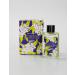 Phebo - Linha Origens - Colonia Verbena Tropical 200 Ml - (Origins Collection - Tropical Verben Eau de Toilette 6.76 Fl Oz) - Buy Online on GoSupps.com