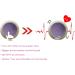 Hana Panda Heart Beat Puppy Behavioral Aid Toy (heartbeat) - Buy Online on GoSupps.com
