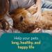 The Healthy Dog Co Spot On Flea and Tick Treatment for Dogs 100ml - Buy Online on GoSupps.com