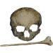Clips Skull Hair Pin for Woman Halloween Retro Plating Hairdressing Skull Hair Clip Gothic Halloween Hair Accessories for Party Makeup Cosplay Costume - Buy Online on GoSupps.com