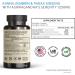 VINATURA Ashwagandha Korean Ginseng Kanna Zembrin Capsules - Brain Health & Stress Relief Support - 1250mg - Panax Ginseng & Sceletium Tortuosum Blend - Buy Online on GoSupps.com