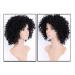 Curly Hair Wigs for Black Women - Natural Kinky Afro Wigs Lace Front & Synthetic Options - Buy Online on GoSupps.com