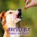 Fruitables Baked Dog Treats - Healthy Pumpkin & Blueberry Snacks | Low-Calorie, Wheat, Corn & Soy Free | 7 Oz - Buy Online on GoSupps.com