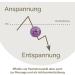 Buy 2x DBT Skills Hedgehog Ball | Magnetic Acupressure Ball for Stress Relief & Massage | Improve Mobility & Concentration - Lilac Purple 32mm - Buy Online on GoSupps.com