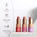 Soultree Lip Scrub - Nourishing 1 Pack (1 Piece) | Natural Exfoliation for Soft Lips | Shop Now - Buy Online on GoSupps.com