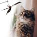 cobee Cat Feather Propeller Wand Toy Cat Feather Toys Replacement Replacement Refill Feather Interactive Cat Chaser Toys Kittens Wand Refills Attachments for Kitten Training Exerciser Accessories - Buy Online on GoSupps.com