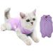 Buy Katzbody Surgical Recovery Suit for Cats | Post-Op Castration & Wound Care (L Purple) - International Shipping - Buy Online on GoSupps.com