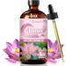 Blueberry Essential Oil and Lotus Essential Oil 4 Fl Oz (120Ml) Fragrance Oil for Aroma Diffuser Humidifier Home Fragrance Spa Cleaning Body Care Massage Yoga DIY Candle - Buy Online on GoSupps.com