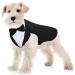 Dog Tuxedo and Bandana Set Dogs Formal Tuxedo PET Wedding Party Suit Wedding Bow Tie Shirt for Wedding Christmas Birthday Costumes (Cute Style M) Cute Style M