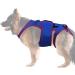 Small Dog Back Brace Spinal Support Pet Back Bracer for IVDD - D-Ring and Reflective Strips Pet Back Bracer for IVDD Dogs Back Prevention Recovery and Rehabilitation - Buy Online on GoSupps.com