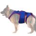 Hip Brace for Dogs Pet Support and Rehab Harness Soft Hip Leg Support - D-Ring and Reflective Strips Pet Back Bracer for IVDD Dogs Back Prevention Recovery and Rehabilitation