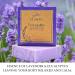 Tranquility Natural Soap for Women | Cold Processed Chemical-Free Triple Butter - Lavender & Eucalyptus - Buy Online on GoSupps.com