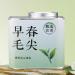 HQZM Premium Maojian Green Tea 100g Loose Leaf Tea PreQingming Spring Tea Strong Aroma Soft Buds - Buy Online on GoSupps.com