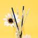Swig Life Luxy Leopard + Blush Reusable Straw Set with Cleaning Brush - 10.25 Long Straws for 20oz, 22oz, and 32oz Tumblers - Buy Online on GoSupps.com