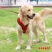 Puppia Soft Dog Harness, Breathable Mesh, Adjustable Chest Belt, Red - Size M (Neck 12, Chest 16-22) - Buy Online on GoSupps.com