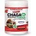 Nutridom Chaga Mushroom Extract Powder 4:1 Concentrate Ratio Easy-to-mix for Chaga Tea Shakes Smoothies Coffee and Tea Non-GMO Vegan Gluten-Free Soy-Free Dairy-Free No Fillers and No Additives (33 Servings) - Buy Online on GoSupps.com
