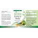 Fairvital Papaya Enzyme Tablets - High Dose Vegan Supplement with Papain Amylase & Protease - 100 Tablets for Digestive Health - Buy Online on GoSupps.com
