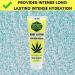 Uncle Bud's Hemp Cream - Nourishing Body Moisturizer with Pure Hemp Seed Oil for Radiant Skin - Shop Internationally - Buy Online on GoSupps.com