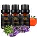 Aromatherapy Clary Sage Essential Oil Set for Diffuser 3X10ml 100% Pure Lavender Essential Oil Kit for Humidifier - Clary Sage Lavender Tangerine Essential Oil Set Aromatherapy Tangerine Oils Kit