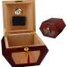 Cigar Box Humidors Barware Cigar Box High-Capacity Cigar Box Humidity Box Cigar High-end Cigar Tube Wooden Cigar Cabinet Cigar Box Cabinet Hygrometer Hardware Hinge 50 Capacity Cooking & Dining 23.8*27.9*18.4cm Red - Buy Online on GoSupps.com