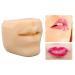 Mouth Model - Lifelike Soft Silicone Human Mouth for Jewelry & Educational Display - Buy Online on GoSupps.com