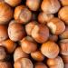  Caporaso dal 1960 Hazelnuts round varieties of Giffoni in shell 1kg pack - Buy Online on GoSupps.com