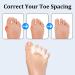 Blmsian Toe Separators 2 Pairs - Foot Alignment Corrector for Bunions, Hammertoes, Plantar Fasciitis - Medium Size for Women's Shoe 9-12.5 & Men's Shoe 7-11 - Buy Online on GoSupps.com