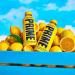 Prime Lemondade US Bottle 16.9oz (500ml) Case of 12 - US Import - Buy Online on GoSupps.com