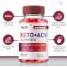 (2 Pack) Ace Keto ACV Gummies - Advanced Weight Loss with Apple Cider Vinegar - Oprah Winfrey Approved - 525mg Keto+ACV Blend with Beet Root & Vitamin B12 (120 Gummies - Buy Online on GoSupps.com