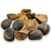 Whole Dried Kola Nuts 85g - 1 95Kg Premium Quality Cola Acuminata (85 Grams)