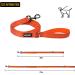 OneTigris Double Dog Leash with Reflective Stripes | S (122cm) Orange - Durable & Safe for International Shipping - Buy Online on GoSupps.com