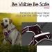 Thinkpet Anti Pull Dog Harness - Adjustable Reflective Breathable - Easy Control with Handle - Small Red - 1 Pack - Buy Online on GoSupps.com