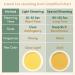 Vahdam Himalayan Green Tea Bags - 100% Natural 15 Count | Perfect for Hot or Iced Tea - Buy Online on GoSupps.com