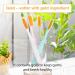 Samjung Wangta Soft Toothbrush 6 Pack (Gold) - Best Manual Toothbrush for Efficient Cleaning and Sensitive Gums - Buy Online on GoSupps.com