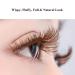 DAODER Brown Cat Eye Wispy Mink False Eyelashes - 10 Pairs Pack for Natural Long Fluffy Volume | Brown Lashes - Buy Online on GoSupps.com