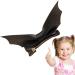 Goth Hair Clips | Black Bat Wing Hair Clips Funky Hair Clips Halloween Headwear Decorative Duckbill Ponytail Barrettes for Teen Girls - Buy Online on GoSupps.com