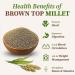 nalAmudhu Browntop Millet | Korale | Urochloa Ramosa Millet 453.5g | 1-lbs - Buy Online on GoSupps.com