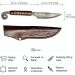 Toferner Celtic Style Gift Letter Knife | Hand-Forged Spring Steel | Genuine Leather Case | Perfect for Collectors and Gifts - Buy Online on GoSupps.com