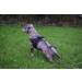 Fttouy Tow Leash for Dogs - Durable 5m/10m/15m/20m Nylon Training Leash with Padded Handle - Ideal for Large & Medium Dogs - Perfect Running Leash - Buy Online on GoSupps.com