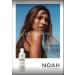 Buy Noah Hair 1.1 Volumizing Shampoo - Organic & Best for Natural Beauty - Essential Oils & Hydrolysed Wheat Protein - 8.5 fl.oz (250 ml) - International Shipping - Buy Online on GoSupps.com
