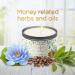 Manifesting Abundance: 101 Money Magnet Tin Candle - 6oz - Buy Online on GoSupps.com
