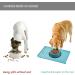 Reopet Silicone Pet Feed Mats - Waterproof Dog & Cat Mats with Elevated Edges - 53x37 cm (Turquoise) - Ideal for Mess-Free Feeding - Buy Online on GoSupps.com