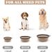 Collapsible Dog Cat Bowls 2 Pack - Portable Travel Pet Bowls for Walking, Hiking, Camping - Small to Large Dogs - Cool Gray & Light Brown - Buy Online on GoSupps.com
