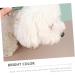 Hemobllo Peigne Pour Chien Peigne Dents Fines M tal D m lant Pour Poils De Chien Toilettage Portable - Buy Online on GoSupps.com