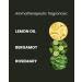 ManCave Lemon and Oak Shower Gel 200ml for Men - Vegan Friendly, Recycled Tube - Refreshing Aroma - Natural Formulation - Pack of 1 - Buy Online on GoSupps.com