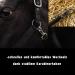 Buy Horse Delinis Halter for Warmbloods Thoroughbreds & Ponies - Adjustable Tear-Resistant Black COB Stable & Pasture Use - Buy Online on GoSupps.com